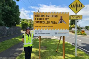 Fruit fly controls in Auckland’s Mt Roskill to remain in place a little longer