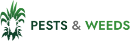 Logo Sm