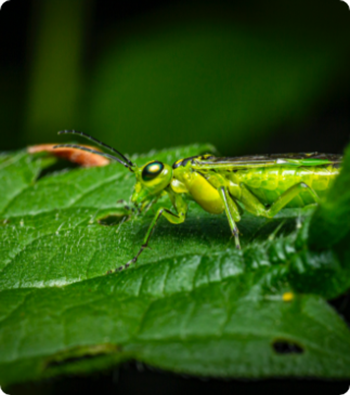 Pexels Erik Karits 3794156